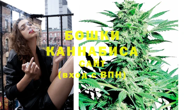 spice Новодвинск