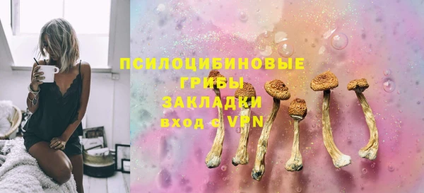 прущая мука Абаза