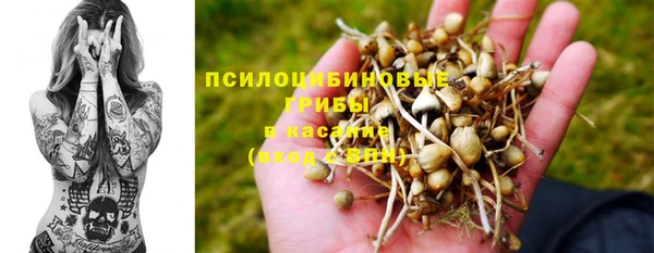 прущая мука Абаза