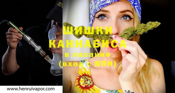 spice Новодвинск