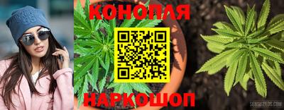 МДПВ Ярославль