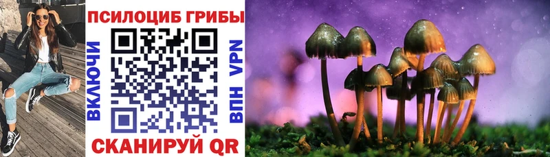 Псилоцибиновые грибы мицелий  Альметьевск 