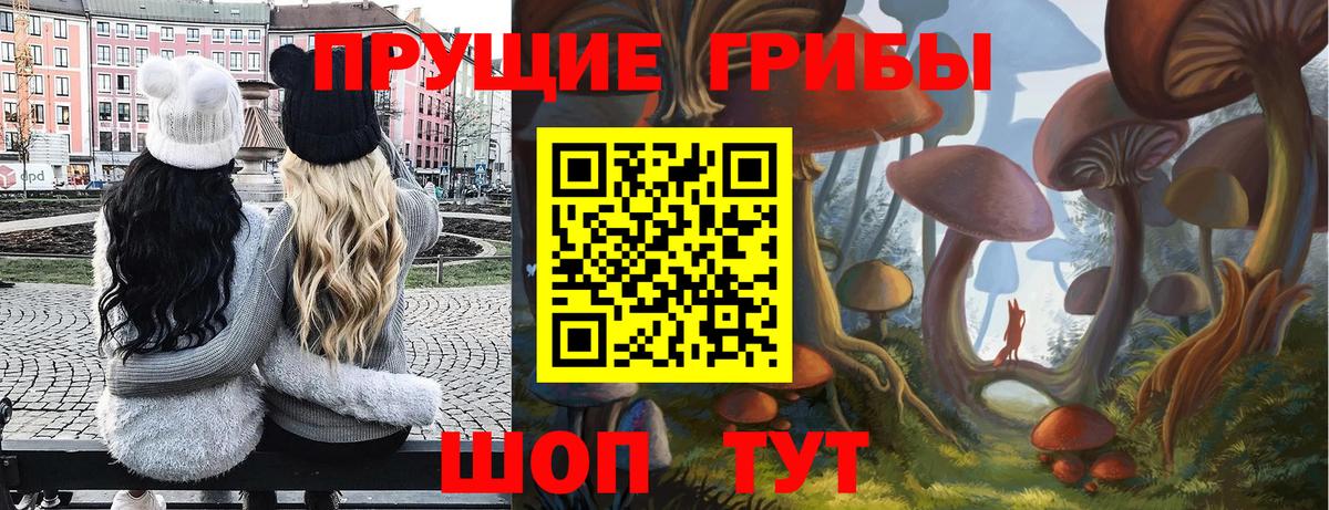 Псилоцибиновые грибы Psilocybine cubensis Альметьевск