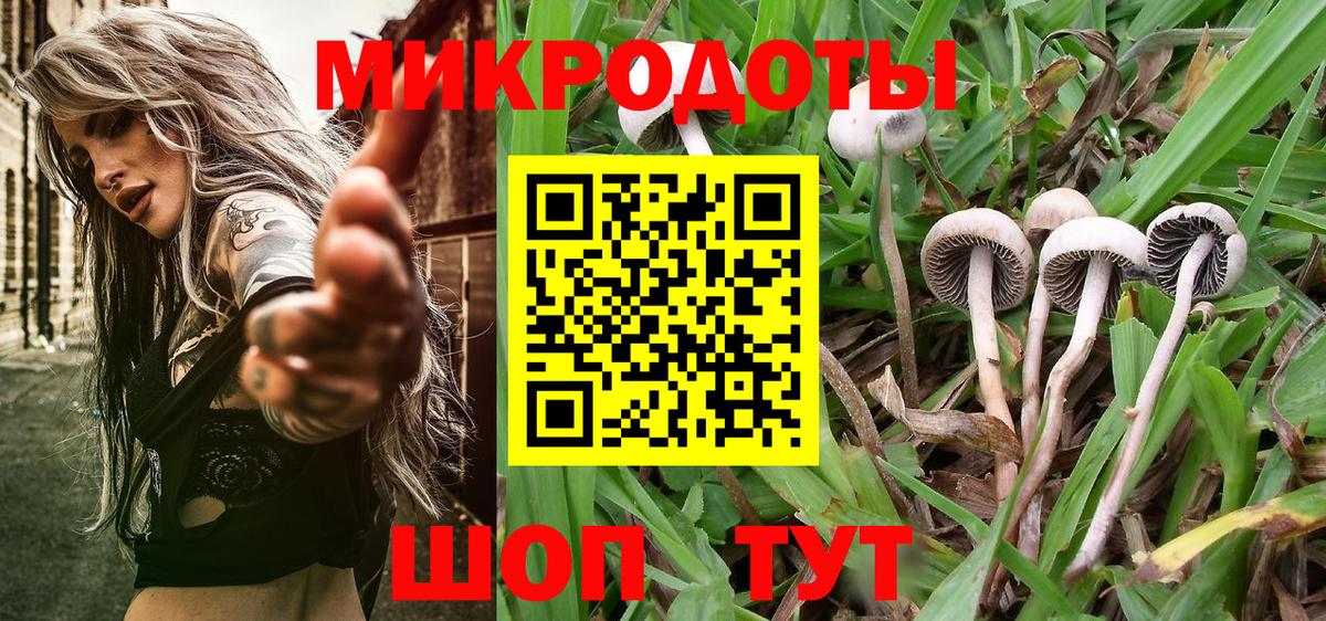 Галлюциногенные грибы MAGIC MUSHROOMS  Вход с VPN  Альметьевск  Псилоцибиновые грибы мухоморы 